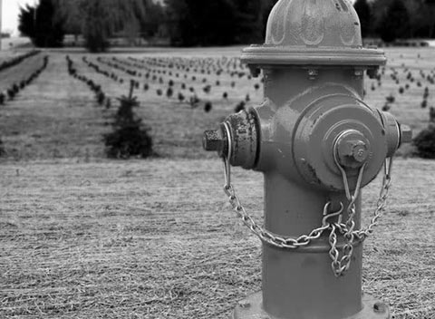 报复骗子轰炸神器